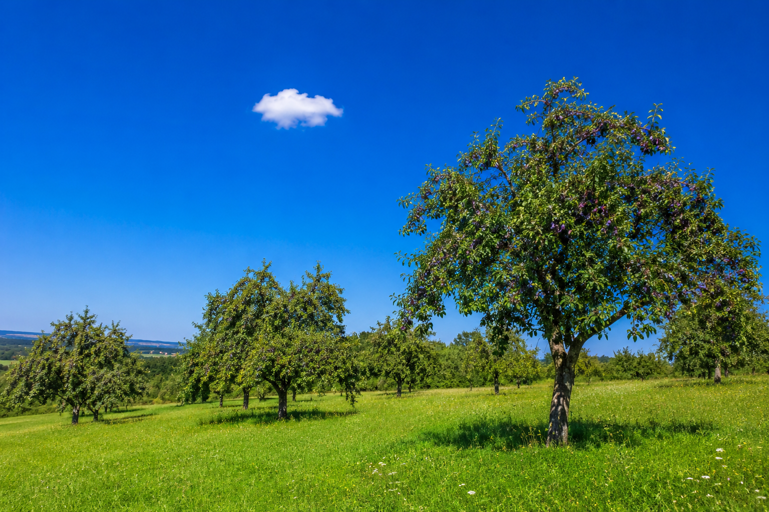 Wolke Landschaft
