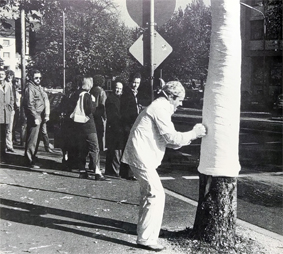 Performance Baumverband