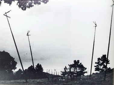 Performance "Schimpfstangen"